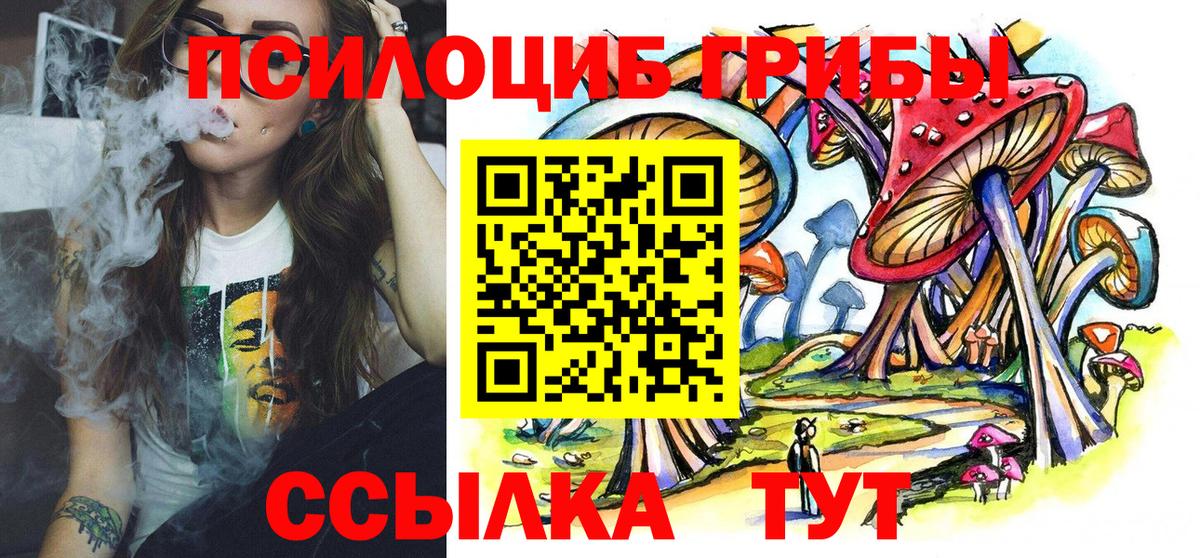 Галлюциногенные грибы MAGIC MUSHROOMS  Вход с VPN  Чебоксары 