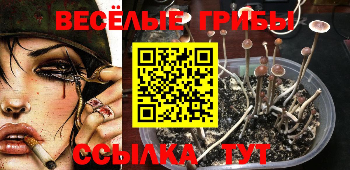 Галлюциногенные грибы GOLDEN TEACHER Чебоксары